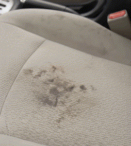 Foam Cleaner aplicacion de la espuma, version compacta